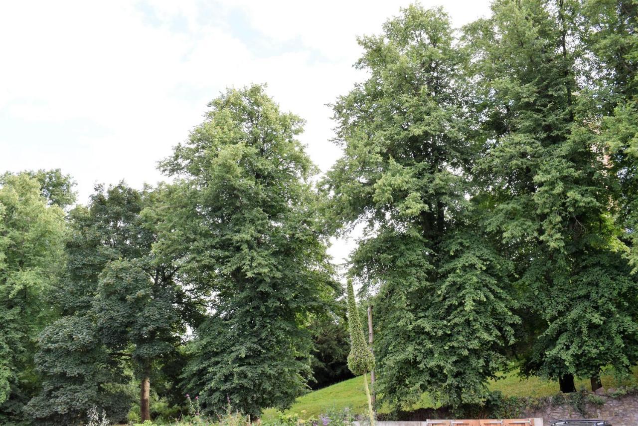Berkeley Square Pads Apartment Bristol Phòng bức ảnh